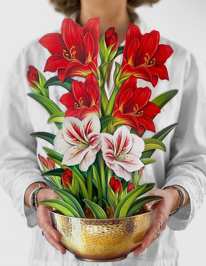 Pop-up 3D Greeting Card, Scarlet Amaryllis-220 Beauty/Gift-Inspired by Justeen-Women's Clothing Boutique in Chicago, Illinois