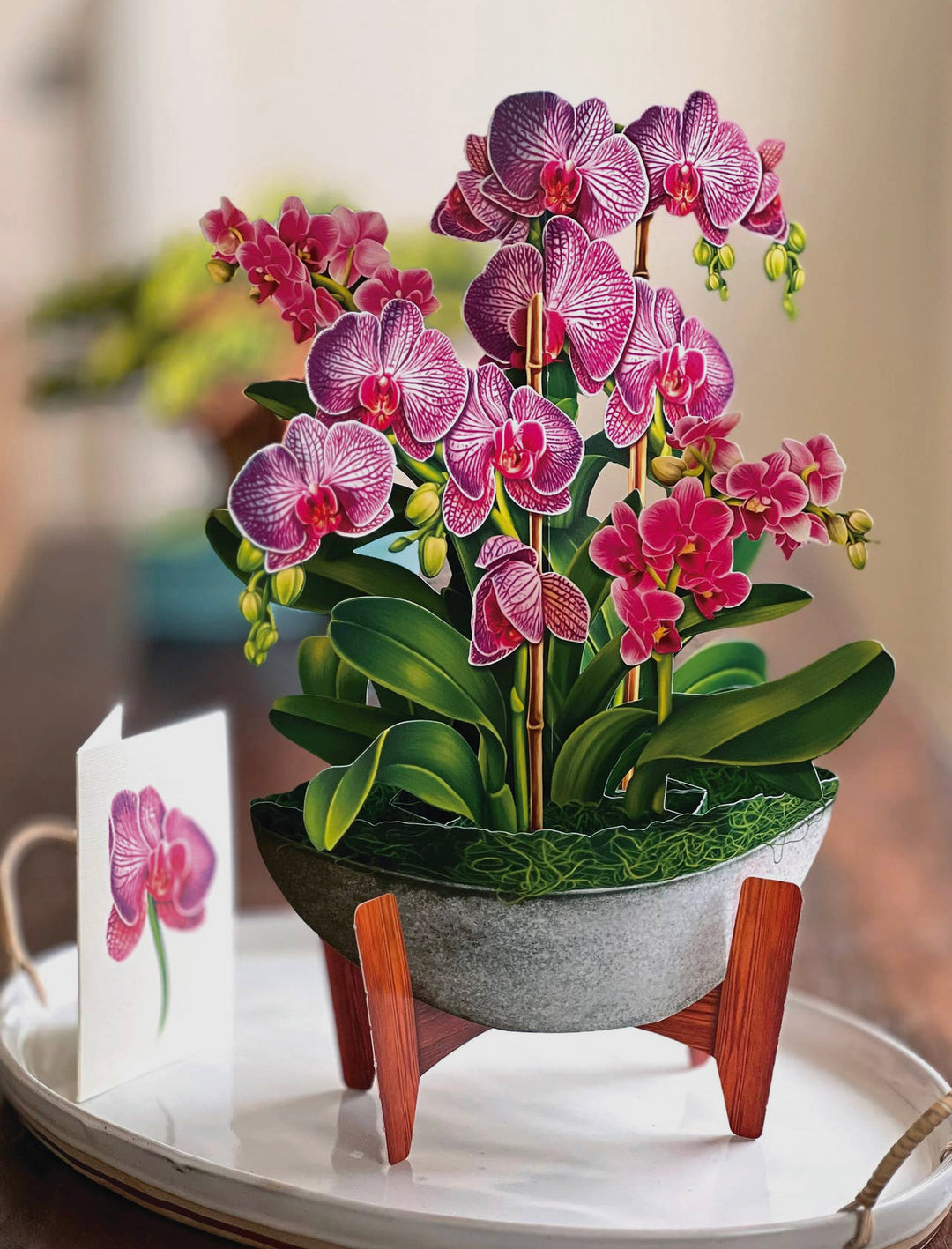 Pop-up 3D Greeting Card, Orchid Oasis-220 Beauty/Gift-Inspired by Justeen-Women's Clothing Boutique in Chicago, Illinois