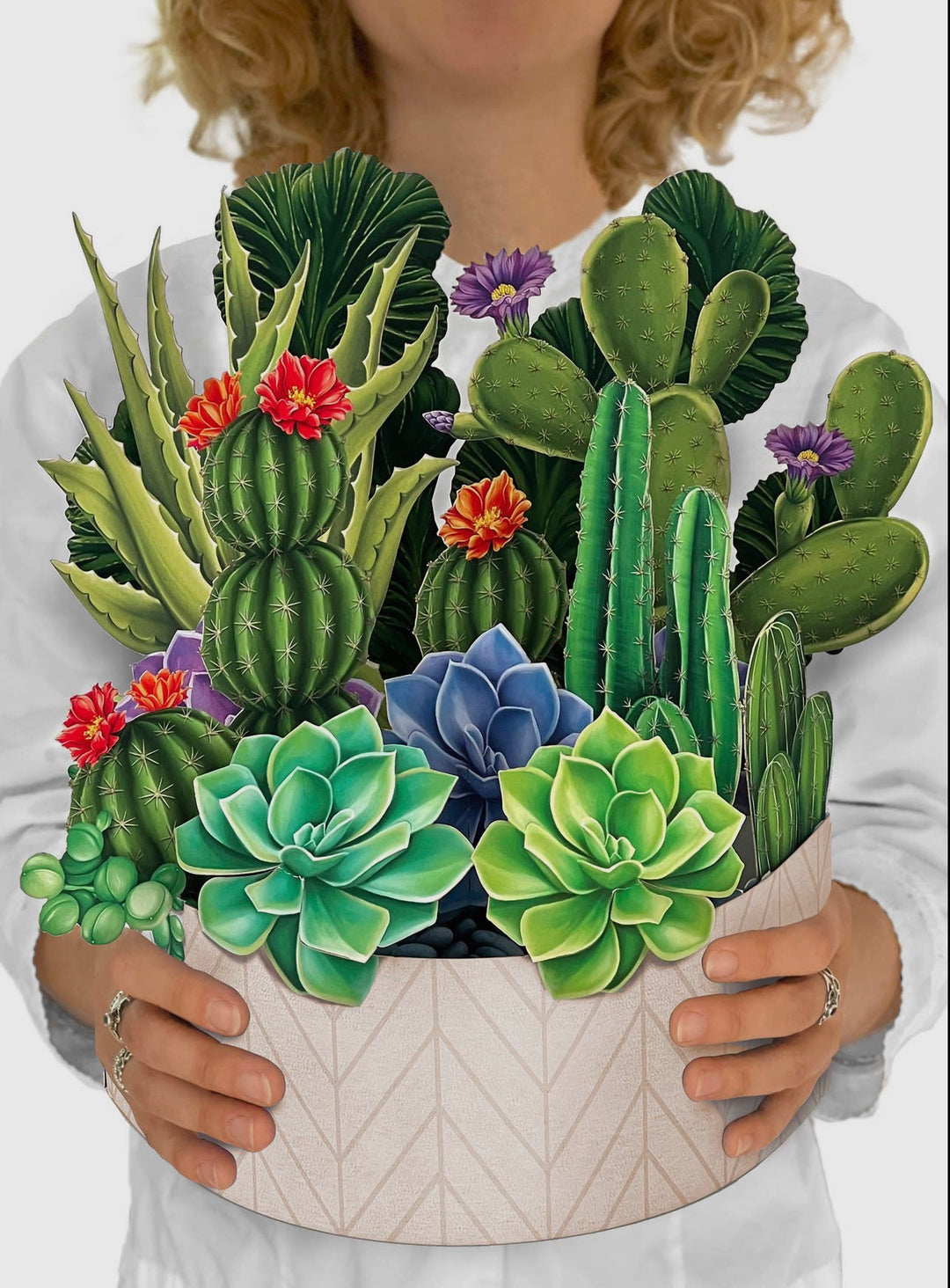 Pop-up 3D Greeting Card, Cactus Garden-220 Beauty/Gift-Inspired by Justeen-Women's Clothing Boutique in Chicago, Illinois