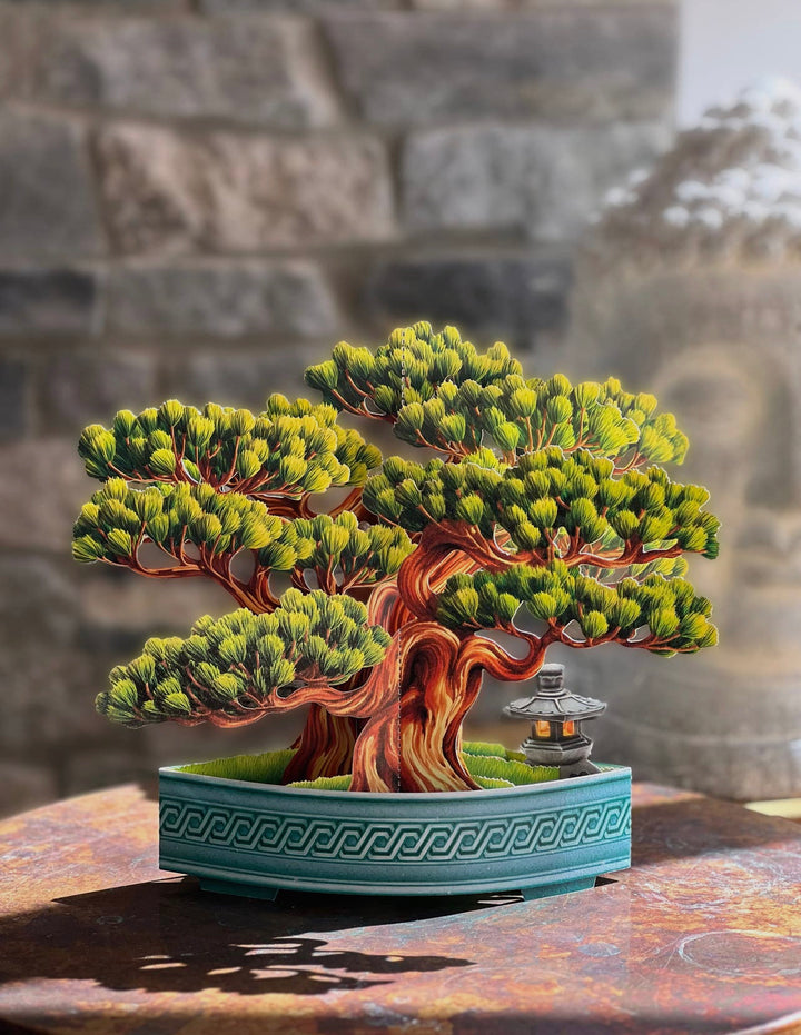 Pop-up 3D Greeting Card, Wisdom Bonsai-220 Beauty/Gift-Inspired by Justeen-Women's Clothing Boutique in Chicago, Illinois