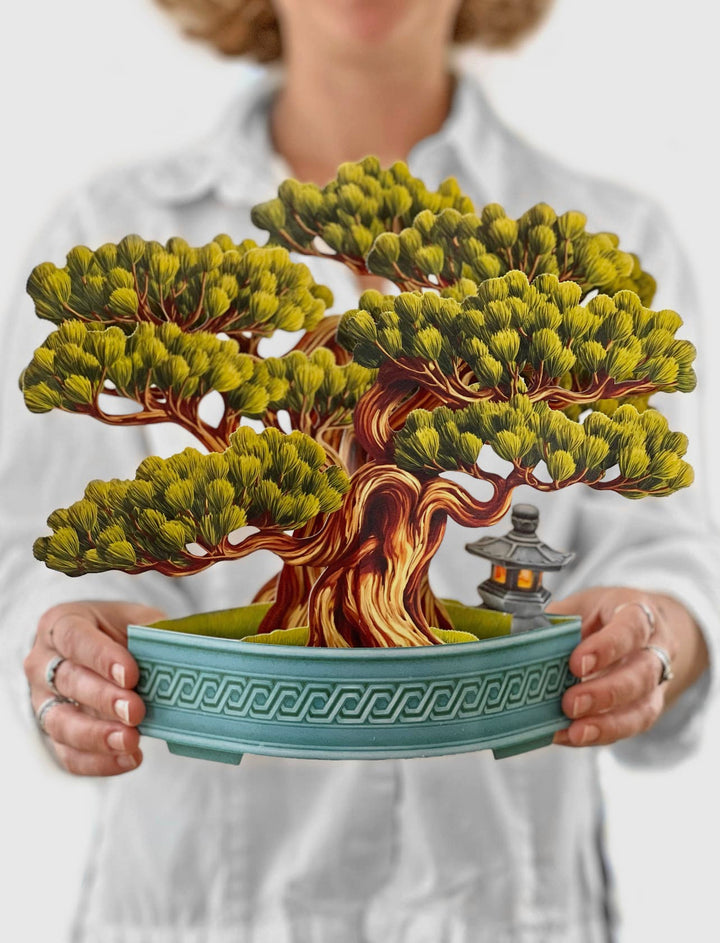 Pop-up 3D Greeting Card, Wisdom Bonsai-220 Beauty/Gift-Inspired by Justeen-Women's Clothing Boutique in Chicago, Illinois