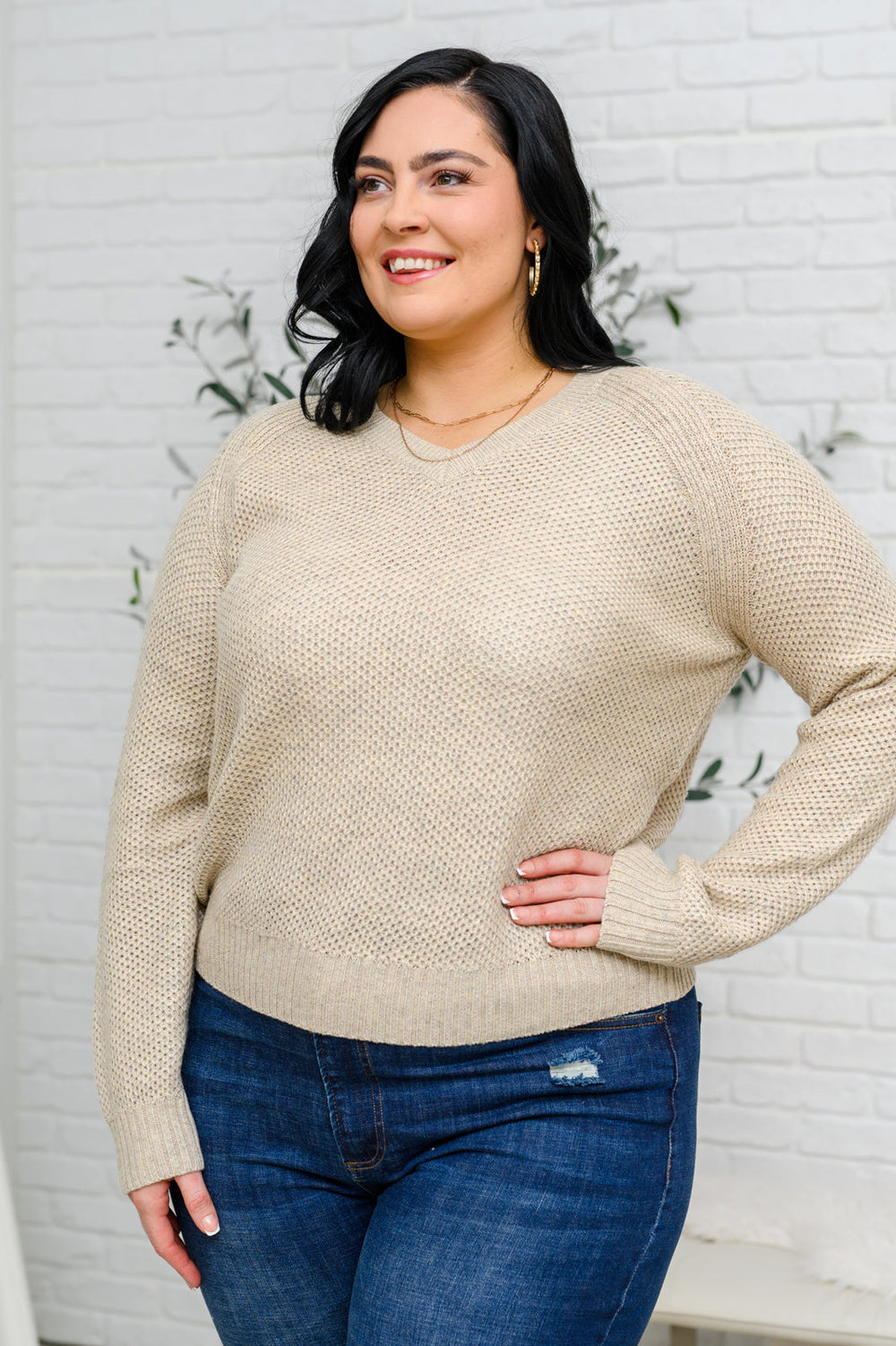 Chai Latte V-Neck Sweater in Oatmeal-Sweaters/Sweatshirts-Inspired by Justeen-Women's Clothing Boutique